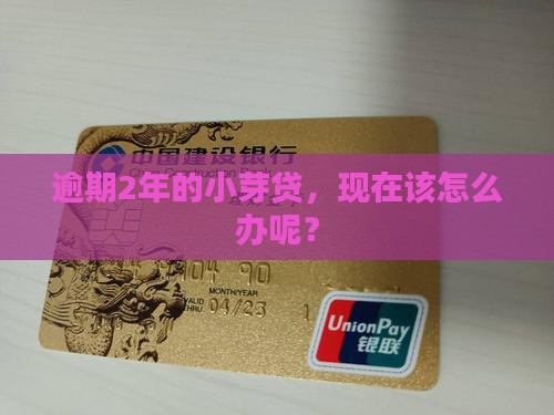 逾期2年的小芽贷，现在该怎么办呢？