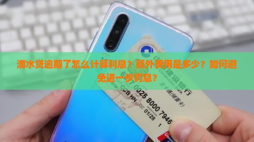 滴水贷逾期了怎么计算利息？额外费用是多少？如何避免进一步罚息？