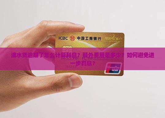 滴水贷逾期了怎么计算利息？额外费用是多少？如何避免进一步罚息？