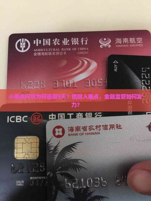 小雨点闪贷为何逾期5天？借款人痛点，金融监管如何发力？