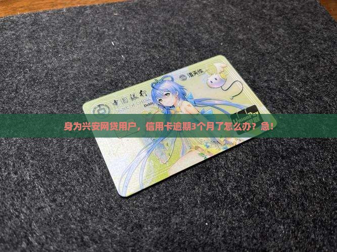 身为兴安网贷用户，信用卡逾期3个月了怎么办？急！