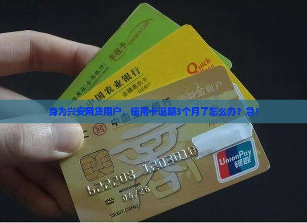 身为兴安网贷用户，信用卡逾期3个月了怎么办？急！