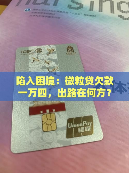 陷入困境：微粒贷欠款一万四，出路在何方？