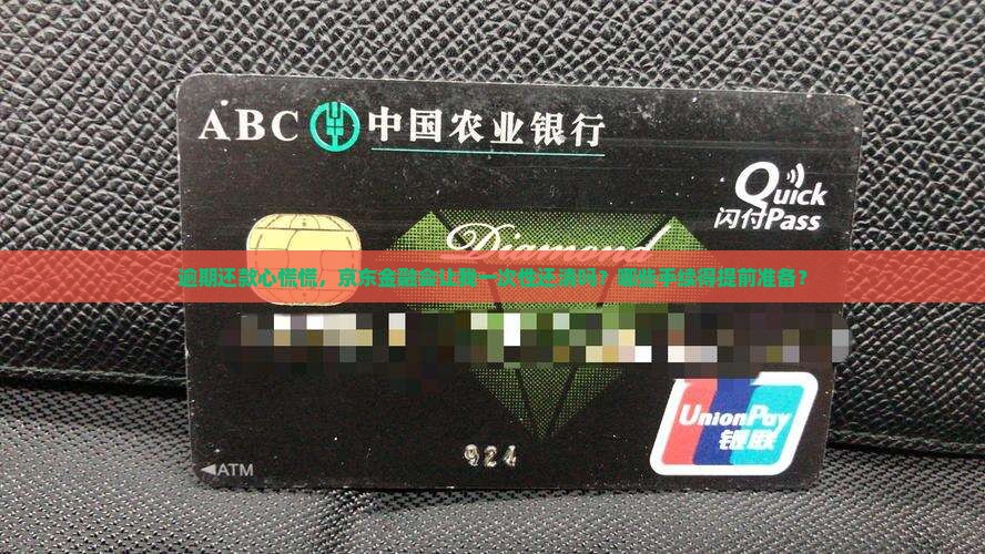 逾期还款心慌慌，京东金融会让我一次性还清吗？哪些手续得提前准备？