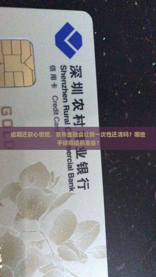 逾期还款心慌慌，京东金融会让我一次性还清吗？哪些手续得提前准备？