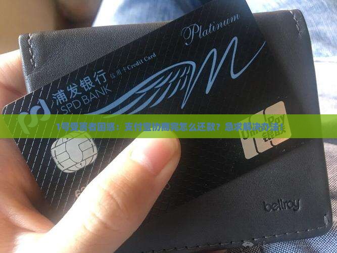 1号受害者困惑：支付宝协商完怎么还款？急求解决办法！