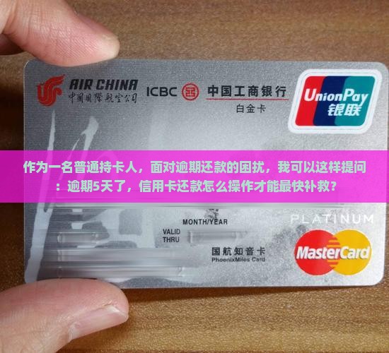 作为一名普通持卡人，面对逾期还款的困扰，我可以这样提问：逾期5天了，信用卡还款怎么操作才能最快补救？
