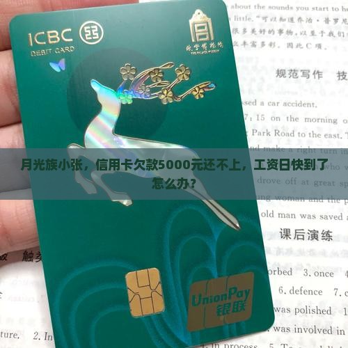 月光族小张，信用卡欠款5000元还不上，工资日快到了怎么办？