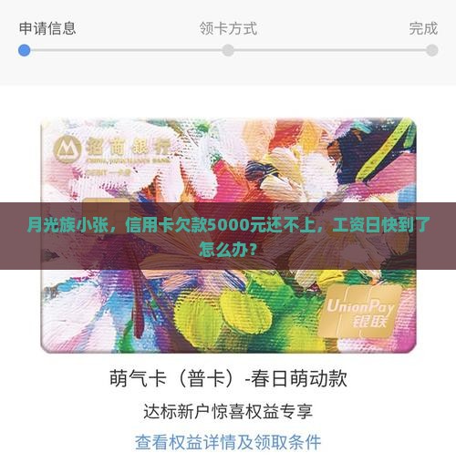 月光族小张，信用卡欠款5000元还不上，工资日快到了怎么办？