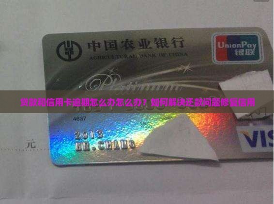 贷款和信用卡逾期怎么办怎么办？如何解决还款问题修复信用
