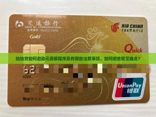 拍拍贷如何启动元调解程序及有哪些注意事项，如何避免常见痛点？