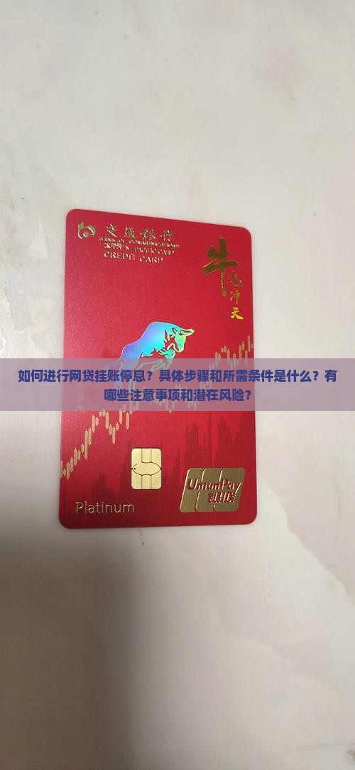 如何进行网贷挂账停息？具体步骤和所需条件是什么？有哪些注意事项和潜在风险？