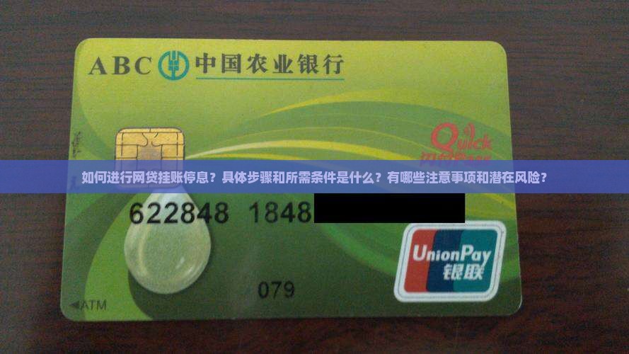 如何进行网贷挂账停息？具体步骤和所需条件是什么？有哪些注意事项和潜在风险？