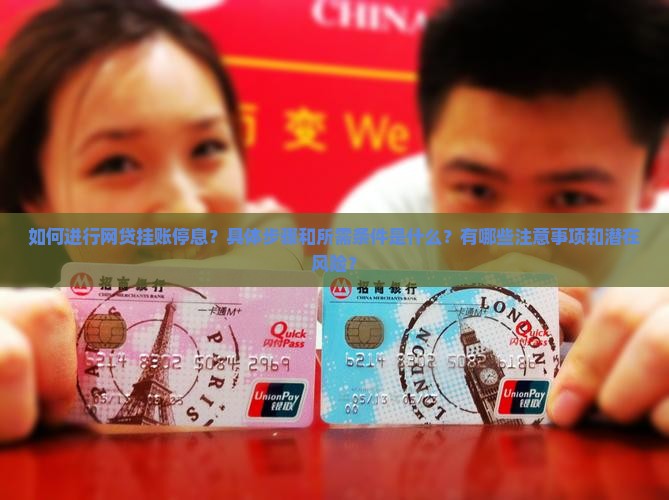 如何进行网贷挂账停息？具体步骤和所需条件是什么？有哪些注意事项和潜在风险？