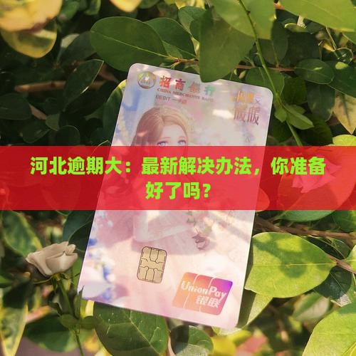 河北逾期大：最新解决办法，你准备好了吗？