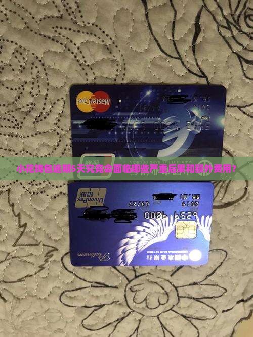 小花钱包逾期5天究竟会面临哪些严重后果和额外费用？