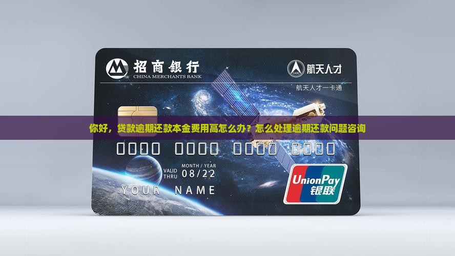 你好，贷款逾期还款本金费用高怎么办？怎么处理逾期还款问题咨询