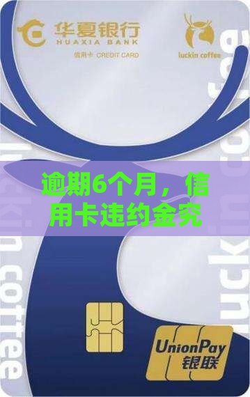 逾期6个月，信用卡违约金究竟有多心疼？