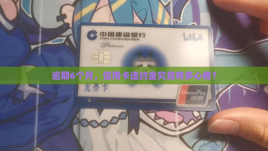 逾期6个月，信用卡违约金究竟有多心疼？