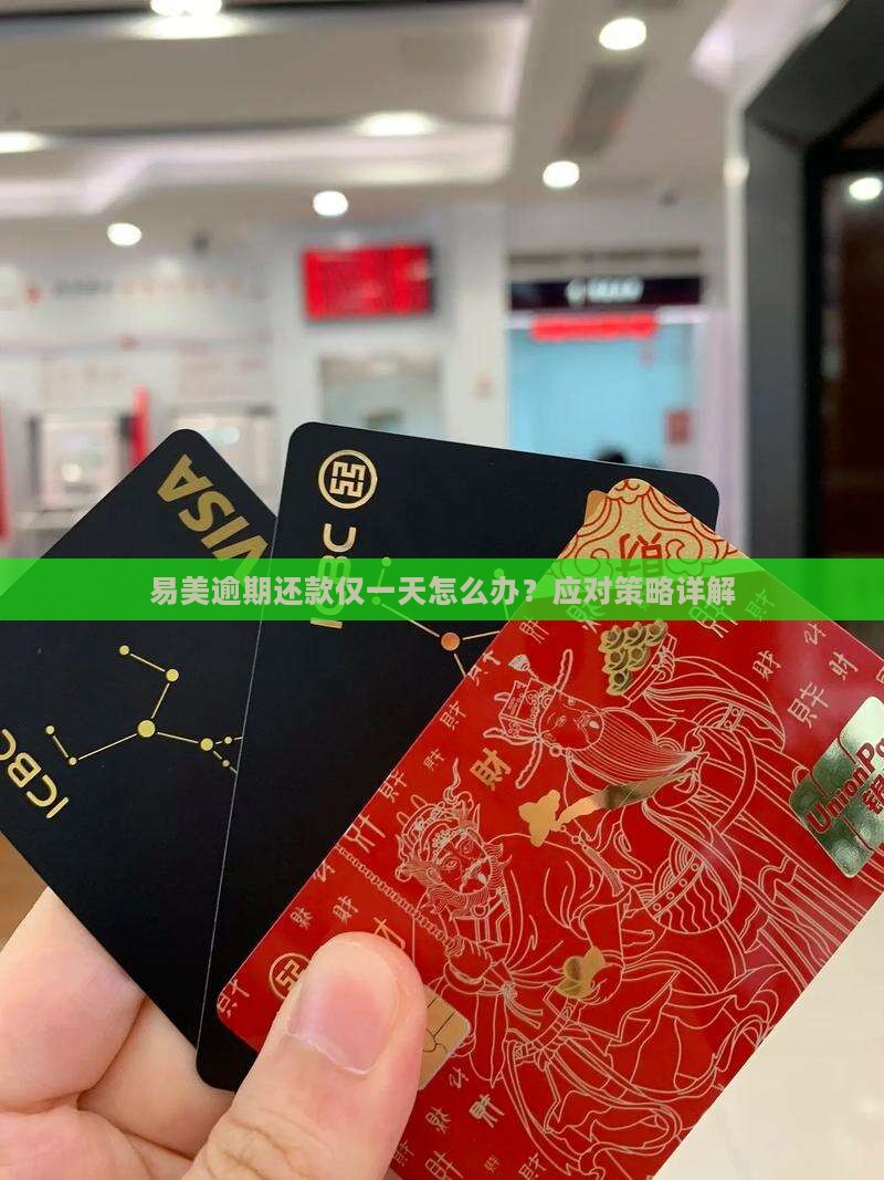 易美逾期还款仅一天怎么办？应对策略详解