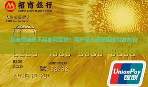 京东借钱还不起如何是好？用户陷入还款困境引发热议！