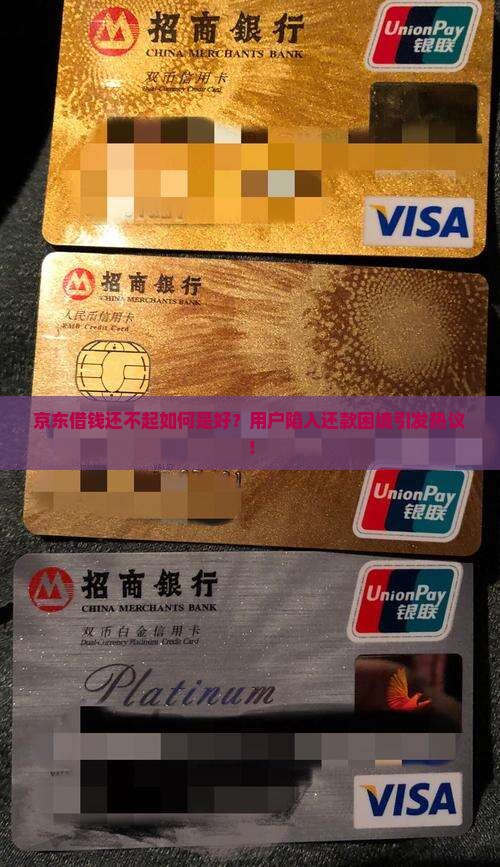 京东借钱还不起如何是好？用户陷入还款困境引发热议！