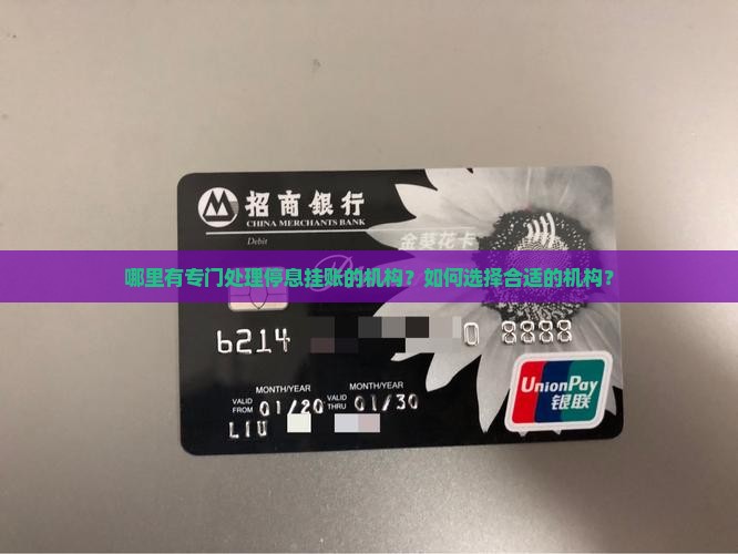 哪里有专门处理停息挂账的机构？如何选择合适的机构？