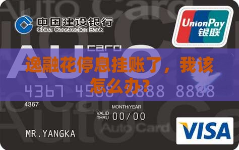 逸融花停息挂账了，我该怎么办？