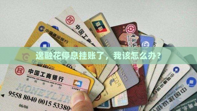 逸融花停息挂账了，我该怎么办？
