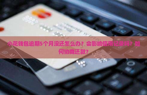 小花钱包逾期5个月没还怎么办