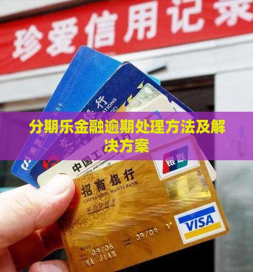 分期乐金融逾期处理方法