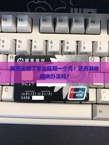 网贷逾期了怎么延期一个月处理