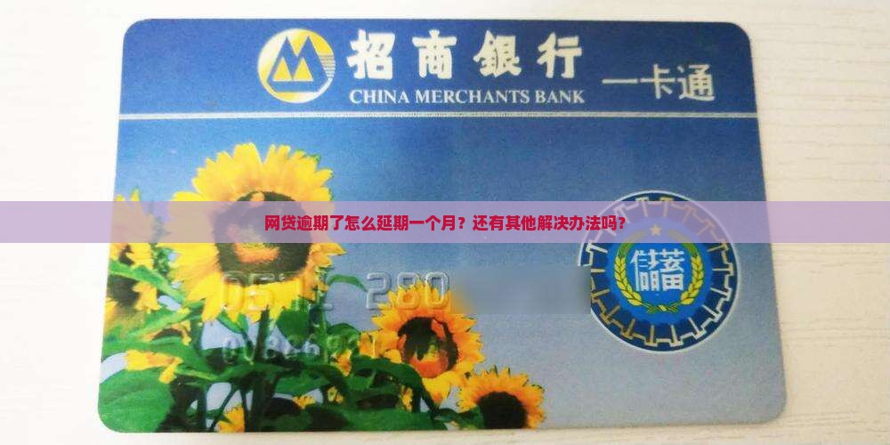 网贷逾期了怎么延期一个月处理
