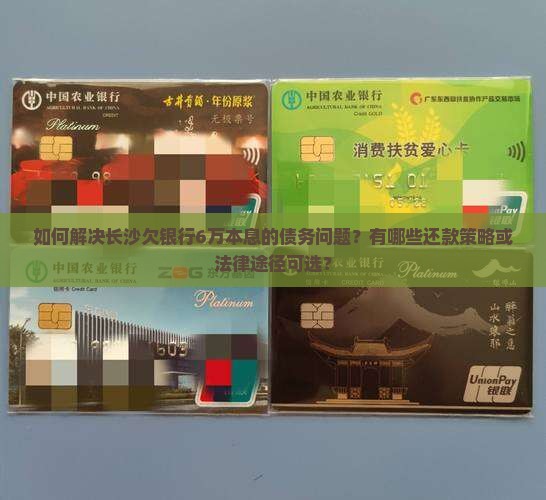 长沙欠银行本息6万怎么办