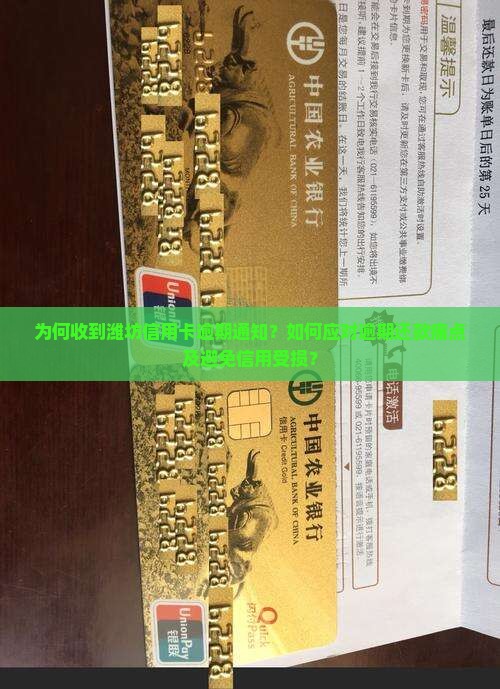 收到潍坊信用卡逾期通知