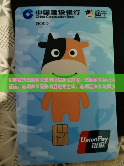 借微粒贷逾期多久影响征信怎么办呢