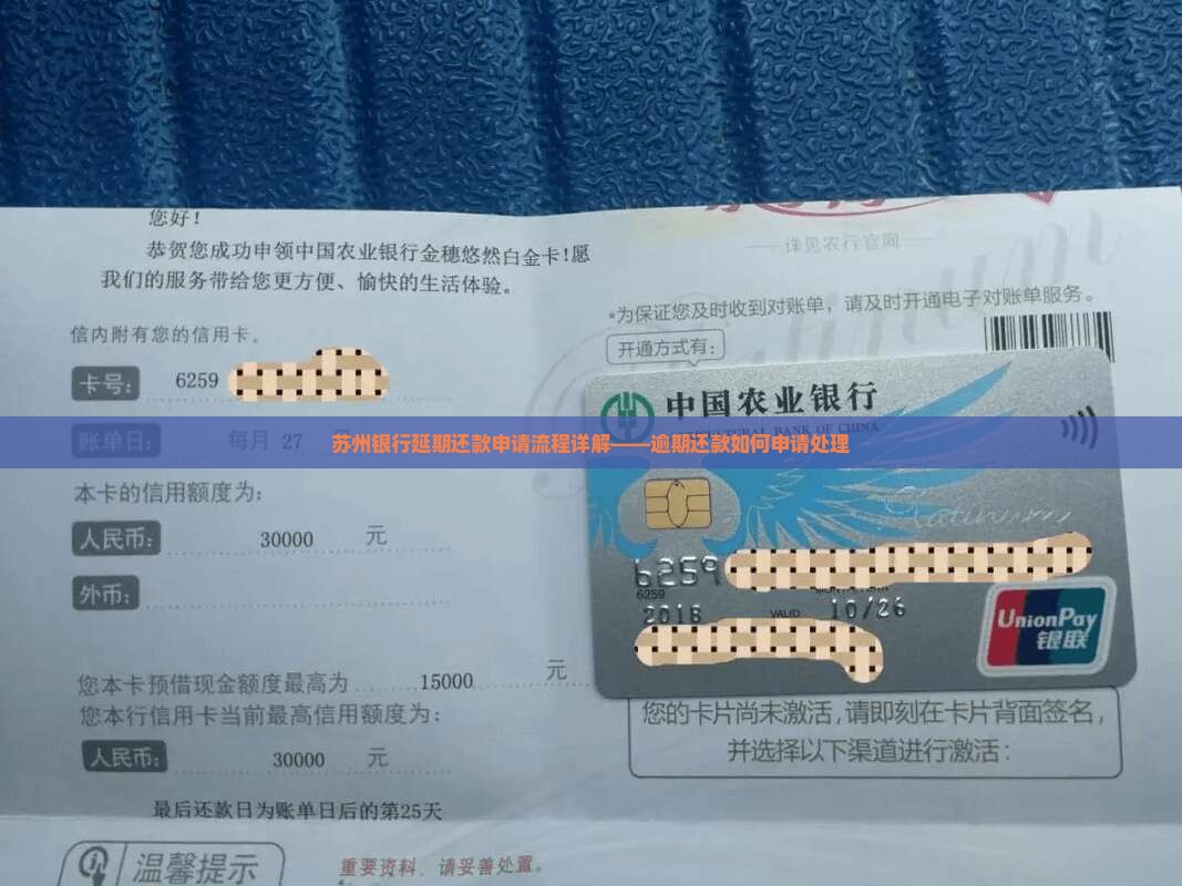 苏州银行延期还款申请流程详解
