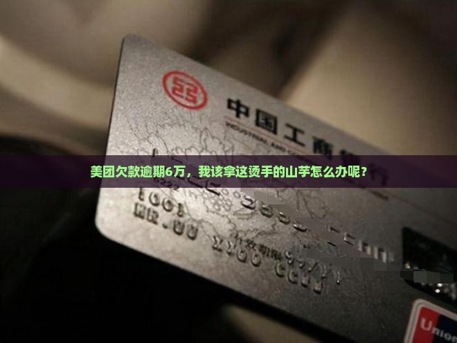 美团欠款6万逾期怎么办