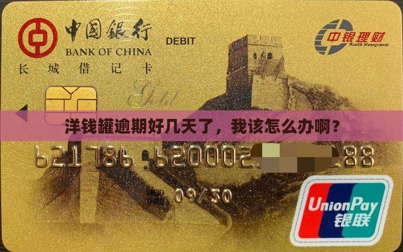洋钱罐逾期逾期几天了怎么办