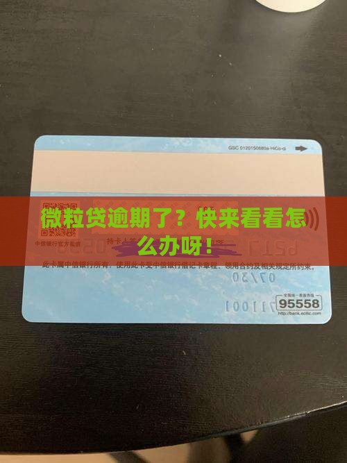 微粒贷逾期人