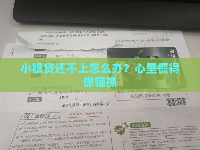 小银贷无能力偿还怎么办