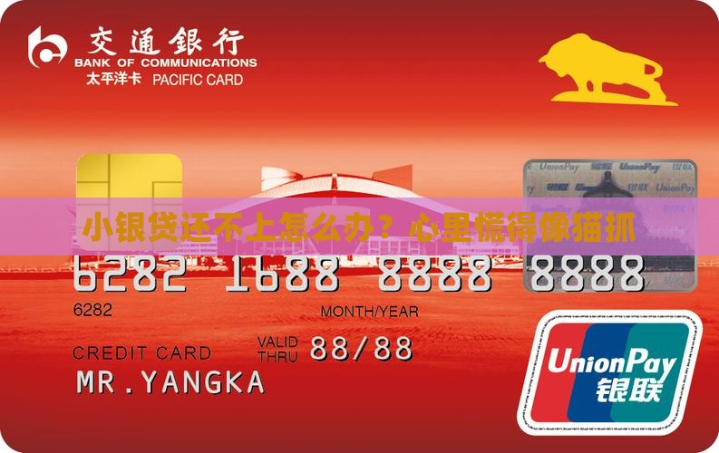 小银贷无能力偿还怎么办