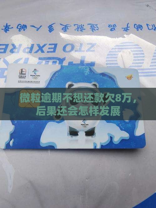 微粒贷欠8万不想还会怎样