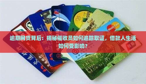 网贷逾期调查取证