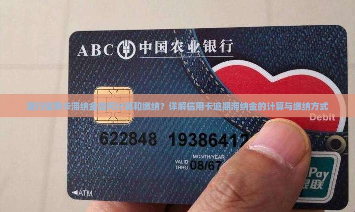 建行信用卡滞纳金如何计算和缴纳