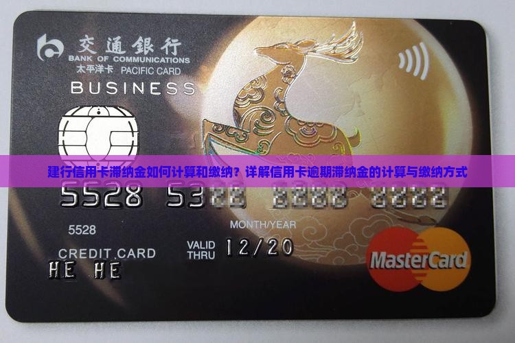 建行信用卡滞纳金如何计算和缴纳