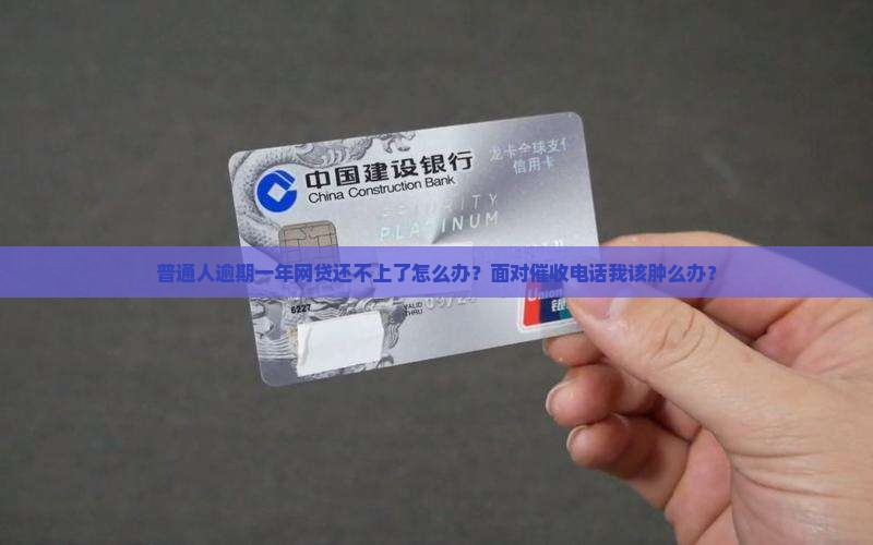 网贷还不起一年怎么办被催收怎么办