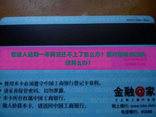 网贷还不起一年怎么办被催收怎么办