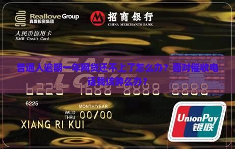 网贷还不起一年怎么办被催收怎么办