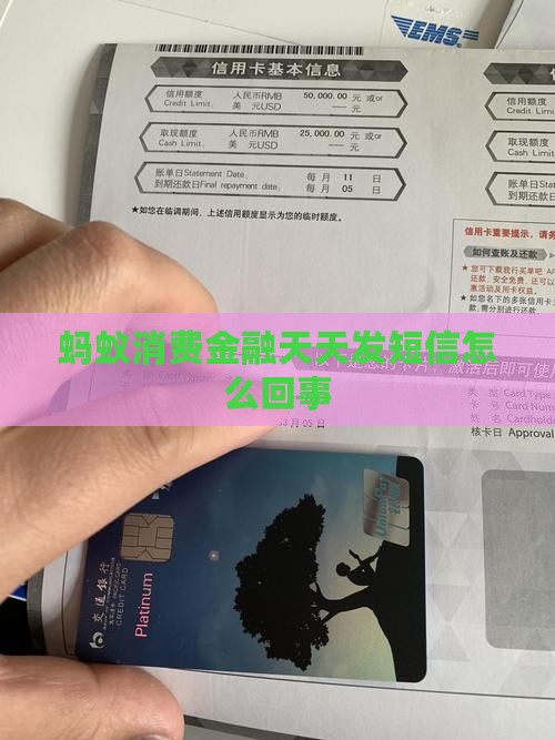 蚂蚁消费金融天天发短信